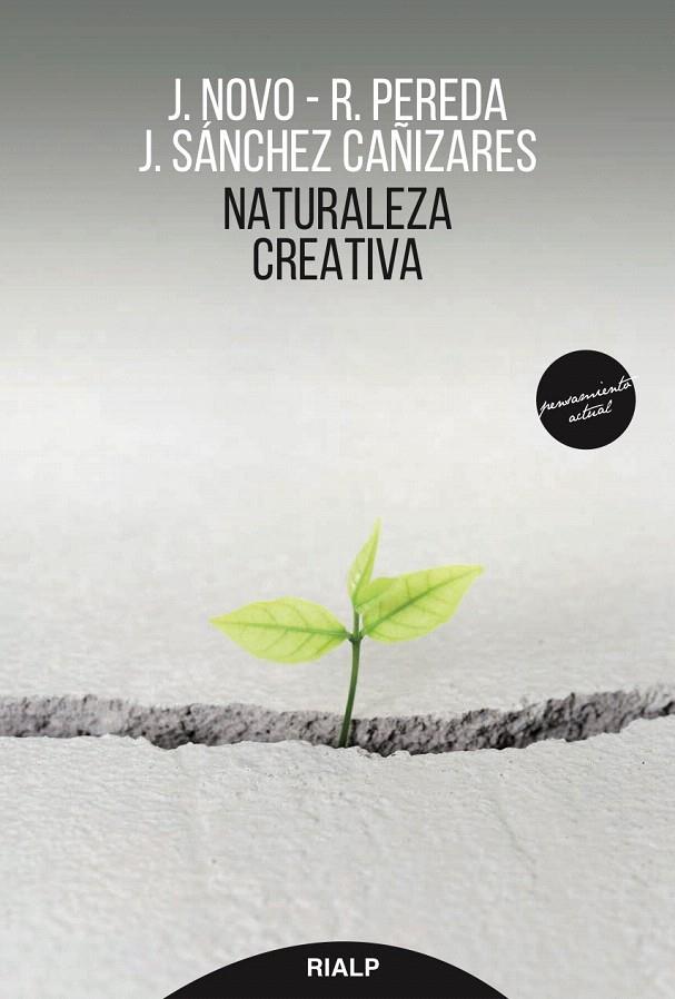 Naturaleza creativa | 9788432149160 | Novo, Francisco Javier;  Pereda, Rubén; Sánchez-Cañizares, Javier | Librería Castillón - Comprar libros online Aragón, Barbastro