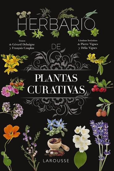 Herbario de plantas curativas | 9788410124110 | Vignes, Pierre / Vignes, Délia | Librería Castillón - Comprar libros online Aragón, Barbastro