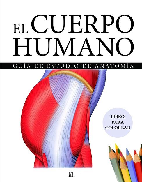 El Cuerpo Humano | 9788466243940 | Equipo Editorial Amber Books | Librería Castillón - Comprar libros online Aragón, Barbastro