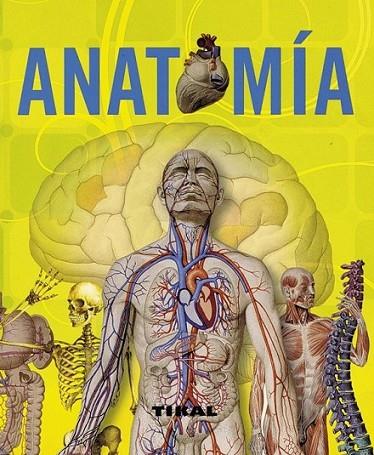 ANATOMÍA | 9788499280011 | RIGUTTI, ADRIANA | Librería Castillón - Comprar libros online Aragón, Barbastro