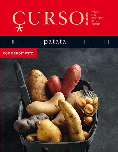 Curso de cocina: patata | 9788496669611 | Witz, Benoît | Librería Castillón - Comprar libros online Aragón, Barbastro