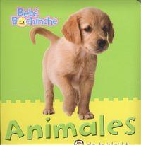 Animales - Bebé Bochinche | 9789877053166 | Varios autores | Librería Castillón - Comprar libros online Aragón, Barbastro