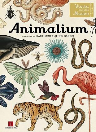 Animalium | 9788415979463 | Scott, Katie ; Broom, Jenny | Librería Castillón - Comprar libros online Aragón, Barbastro