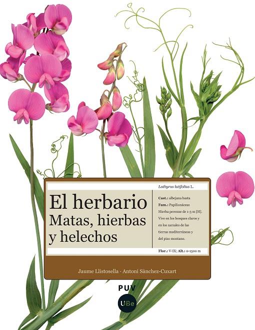 HERBARIO, EL : MATAS HIERBAS Y HELECHOS | 9788447532278 | LLISTOSELLA, JAUME; SANCHEZ-CUXART, ANTONI | Librería Castillón - Comprar libros online Aragón, Barbastro