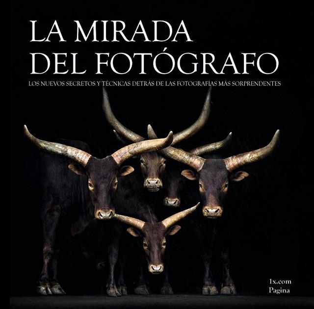 La mirada del fotógrafo | 9788441534254 | 1x.com | Librería Castillón - Comprar libros online Aragón, Barbastro