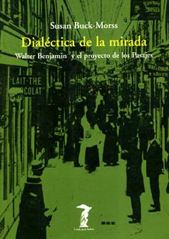 DIALECTICA DE LA MIRADA | 9788477745792 | BUCK-MORSS, SUSAN | Librería Castillón - Comprar libros online Aragón, Barbastro