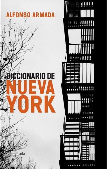 DICCIONARIO DE NUEVA YORK | 9788483079041 | ARMADA, ALFONSO | Librería Castillón - Comprar libros online Aragón, Barbastro