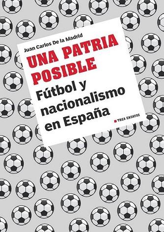 Una patria posible | 9788497047463 | De la Madrid Álvarez, Juan Carlos | Librería Castillón - Comprar libros online Aragón, Barbastro