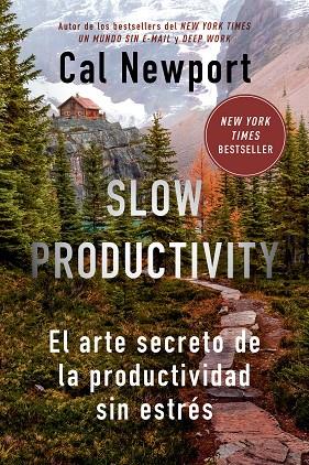 Slow Productivity | 9788410121065 | Newport, Cal | Librería Castillón - Comprar libros online Aragón, Barbastro