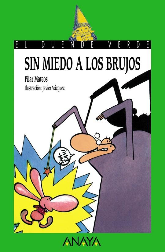 SIN MIEDO A LOS BRUJOS | 9788420767048 | MATEOS, PILAR | Librería Castillón - Comprar libros online Aragón, Barbastro