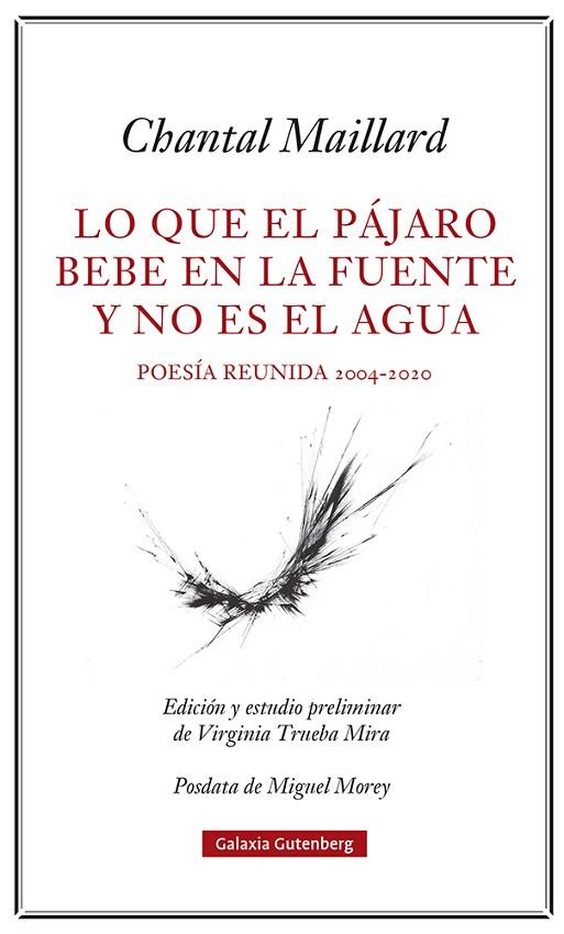 Lo que el pájaro bebe en la fuente y no es el agua | 9788418807633 | Maillard, Chantal | Librería Castillón - Comprar libros online Aragón, Barbastro