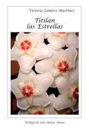 TITILAN LAS ESTRELLAS | 9788493760229 | ZAMORA MARTINEZ, VICTORIO | Librería Castillón - Comprar libros online Aragón, Barbastro