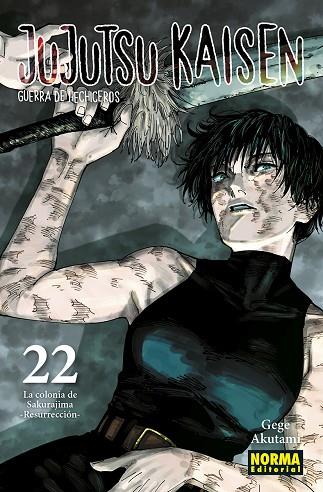 JUJUTSU KAISEN 22 | 9788467962000 | AKUTAMI, GEGE | Librería Castillón - Comprar libros online Aragón, Barbastro