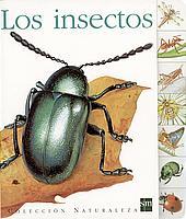 INSECTOS, LOS | 9788434889408 | CASTILLO, MARIA (DIR.) | Librería Castillón - Comprar libros online Aragón, Barbastro