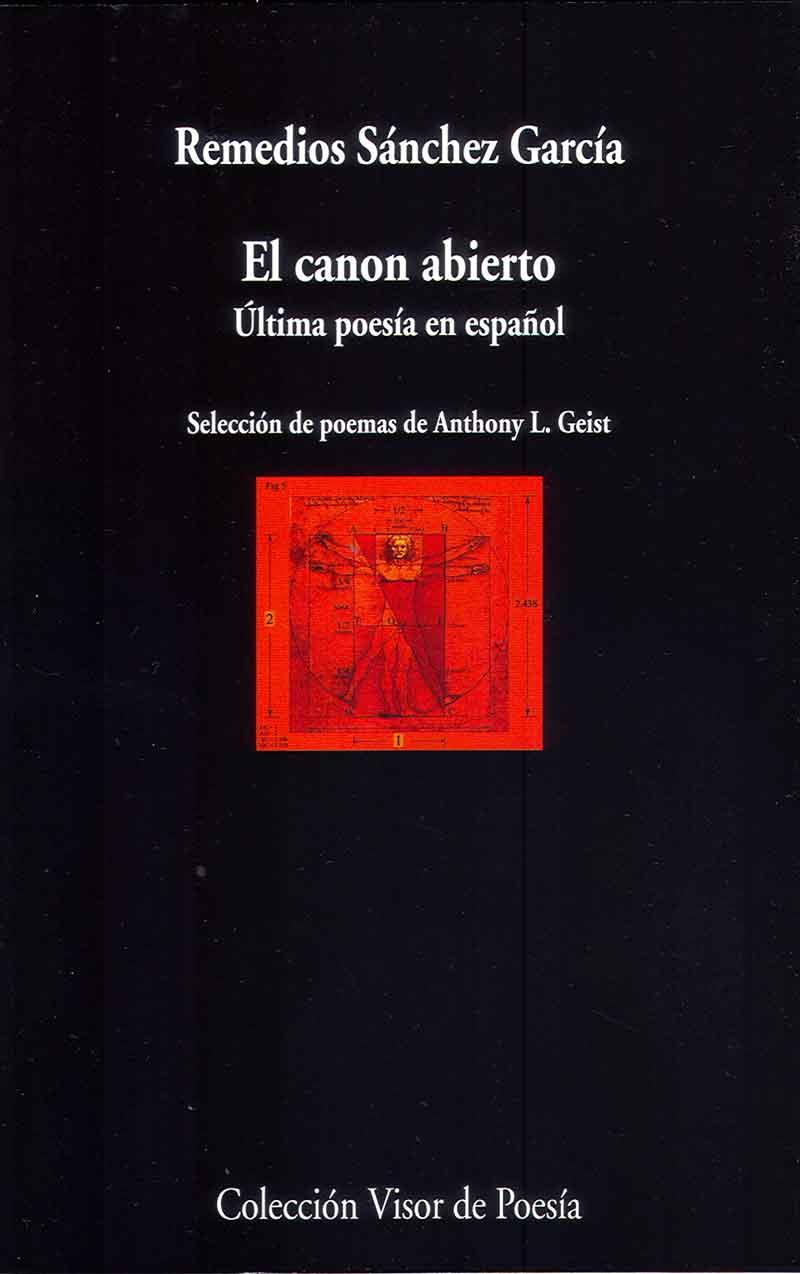 El canon abierto | 9788498959086 | Sánchez García, Remedios | Librería Castillón - Comprar libros online Aragón, Barbastro