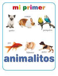 MI PRIMER LIBRO DE ANIMALITOS | 9788427293083 | Librería Castillón - Comprar libros online Aragón, Barbastro