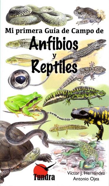 Mi primera guía de campo de anfibios y reptiles | 9788416702428 | Ojea, Antonio | Librería Castillón - Comprar libros online Aragón, Barbastro