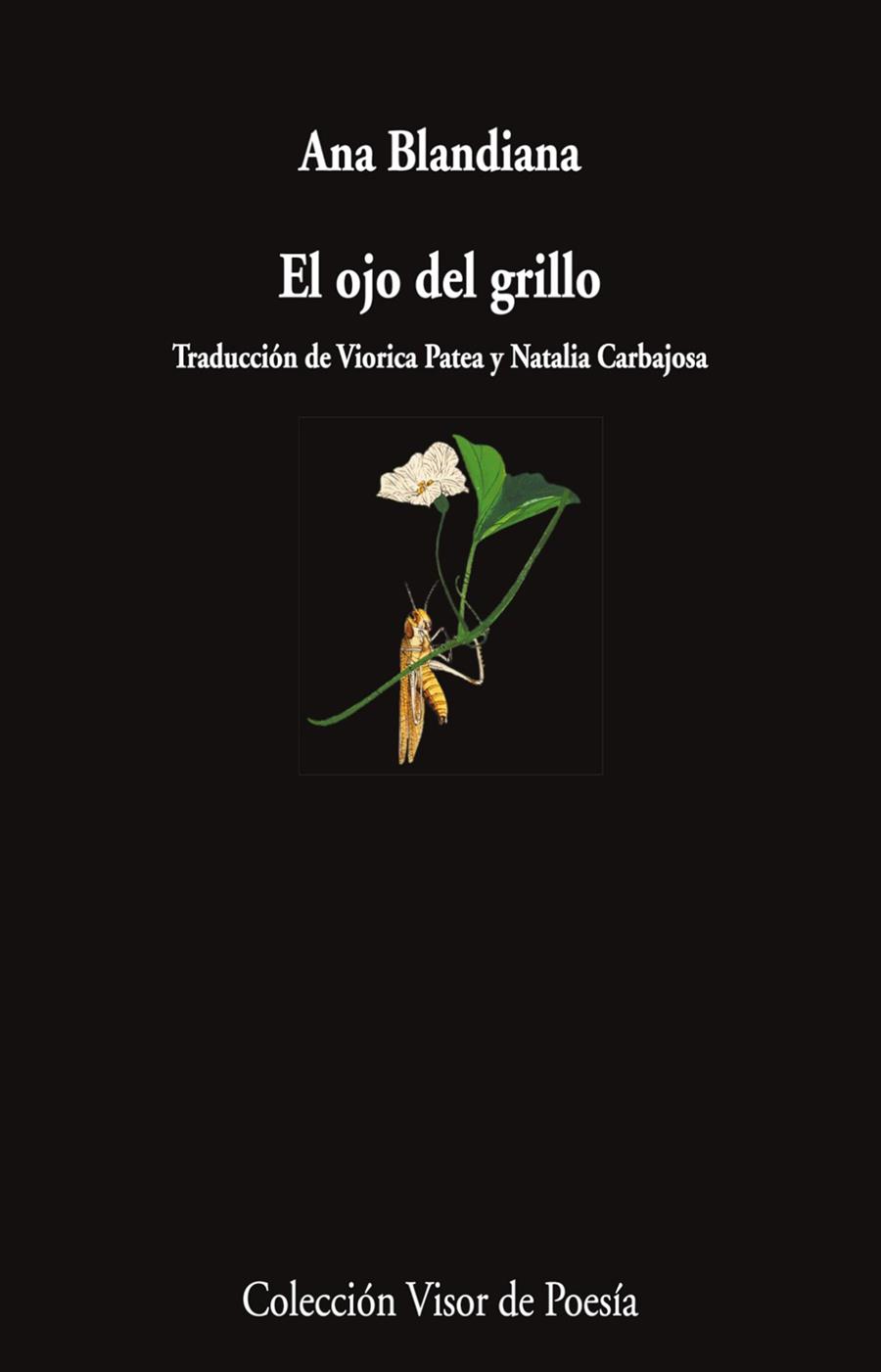 EL ojo del grillo | 9788498955750 | Blandiana, Ana | Librería Castillón - Comprar libros online Aragón, Barbastro