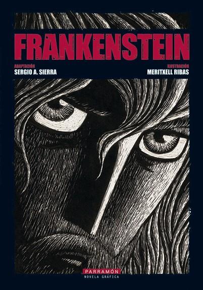 FRANKENSTEIN (NOVELA GRAFICA) | 9788434235441 | SIERRA, SERGIO A. | Librería Castillón - Comprar libros online Aragón, Barbastro