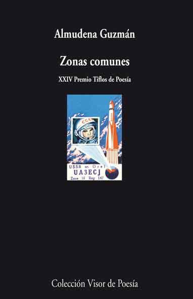 ZONAS COMUNES | 9788498957877 | GUZMAN, ALMUDENA | Librería Castillón - Comprar libros online Aragón, Barbastro