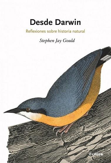 DESDE DARWIN | 9788498920888 | JAY GOULD, STEPHEN | Librería Castillón - Comprar libros online Aragón, Barbastro