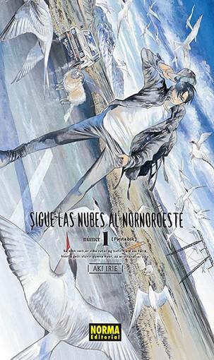 SIGUE LAS NUBES AL
NORNOROESTE 1 | 9788467937749 | Aki Irie | Librería Castillón - Comprar libros online Aragón, Barbastro