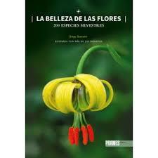 LA BELLEZA DE LAS FLORES | 9788483219096 | SERRANO, JORGE | Librería Castillón - Comprar libros online Aragón, Barbastro