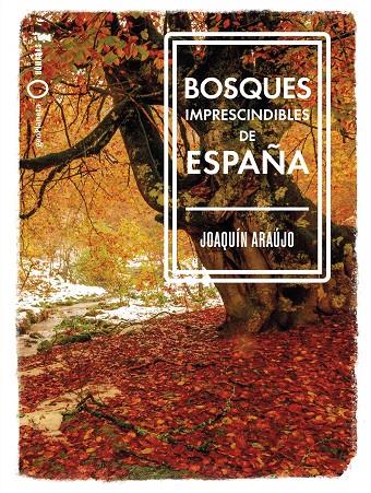 Bosques imprescindibles de España | 9788408239529 | Araújo, Joaquín | Librería Castillón - Comprar libros online Aragón, Barbastro