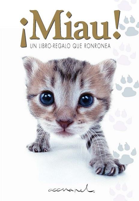 ¡Miau! | 9788468750880 | Exley, Helen | Librería Castillón - Comprar libros online Aragón, Barbastro