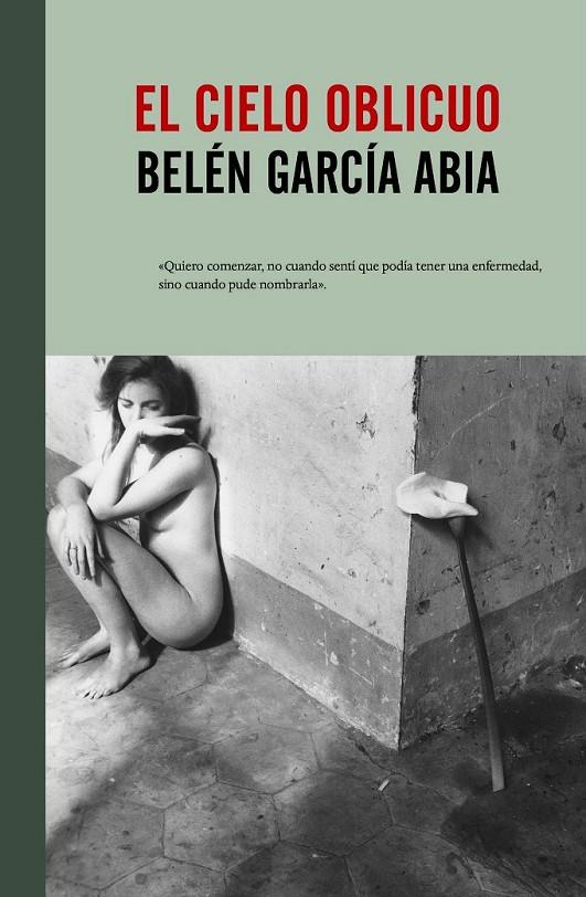 El cielo oblicuo | 9788415217930 | García Abia, Belén | Librería Castillón - Comprar libros online Aragón, Barbastro