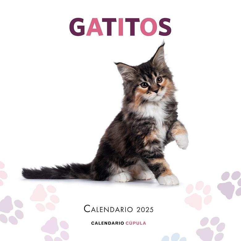 Calendario Gatitos 2025 | 9788448041656 | VV.AA. | Librería Castillón - Comprar libros online Aragón, Barbastro