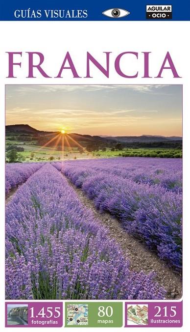 Francia (Guía Visual 2015) | 9788403514386 | AUTORES VARIOS | Librería Castillón - Comprar libros online Aragón, Barbastro