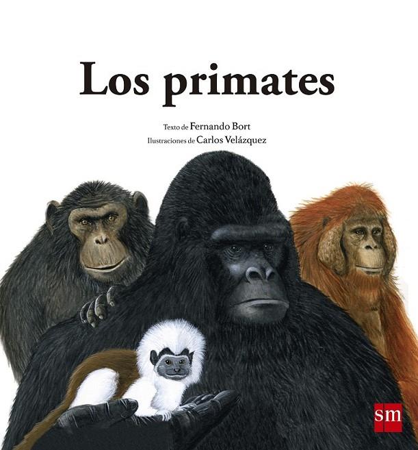 LOS PRIMATES - Nat.2 | 9788467573930 | Bort Misol, Fernando | Librería Castillón - Comprar libros online Aragón, Barbastro