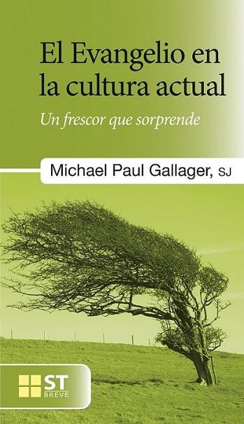 El Evangelio  en la cultura actual | 9788429321517 | Gallagher, Michael Paul | Librería Castillón - Comprar libros online Aragón, Barbastro