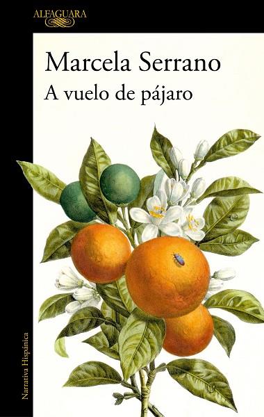 A vuelo de pájaro | 9788420477978 | Serrano, Marcela | Librería Castillón - Comprar libros online Aragón, Barbastro