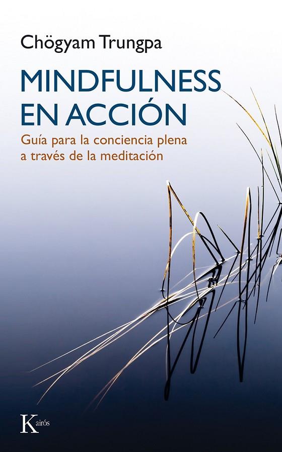 Mindfulness en acción | 9788499884899 | Trungpa, Chögyam | Librería Castillón - Comprar libros online Aragón, Barbastro