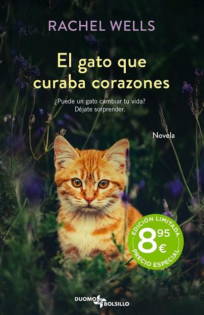 El gato que curaba corazones | 9788419004468 | Wells, Rachel | Librería Castillón - Comprar libros online Aragón, Barbastro