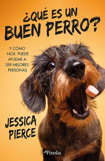 ¿Qué es un buen perro? | 9788419878519 | Jessica Pierce | Librería Castillón - Comprar libros online Aragón, Barbastro