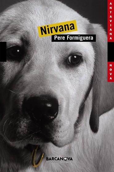 Nirvana | 9788448919443 | Formiguera, Pere | Librería Castillón - Comprar libros online Aragón, Barbastro