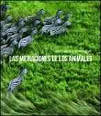 LAS MIGRACIONES DE LOS ANIMALES | 9783771600198 | Gay, Jutta; Menkhoff, Inga | Librería Castillón - Comprar libros online Aragón, Barbastro