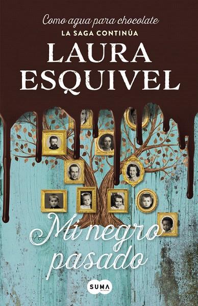 Mi negro pasado | 9788491290292 | Laura Esquivel | Librería Castillón - Comprar libros online Aragón, Barbastro