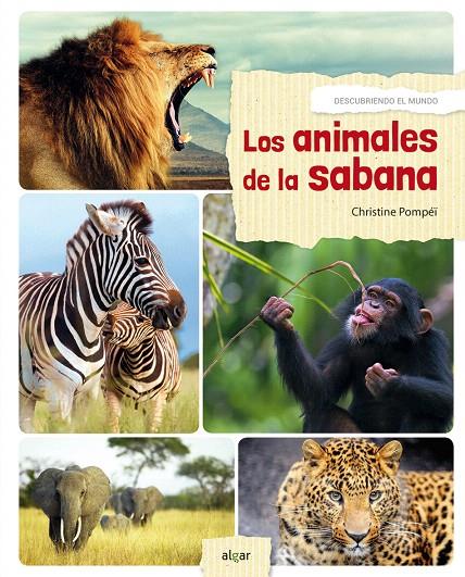 Los animales de la sabana | 9788491421139 | POMPEÏ, CHRISTINE | Librería Castillón - Comprar libros online Aragón, Barbastro