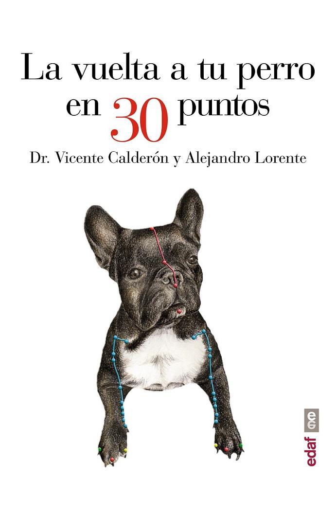 La vuelta a tu perro en 30 puntos | 9788441435483 | Calderón, Dr. Vicente; Lorente, Alejandro | Librería Castillón - Comprar libros online Aragón, Barbastro