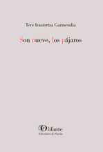 Son nueve, los pájaros | 9788412657487 | IRASTORTZA GARMENDIA, Tere | Librería Castillón - Comprar libros online Aragón, Barbastro