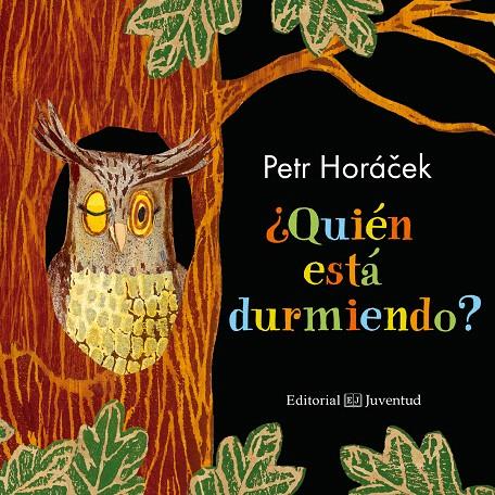 ¿Quién está durmiendo? | 9788426145178 | Horácek, Petr | Librería Castillón - Comprar libros online Aragón, Barbastro