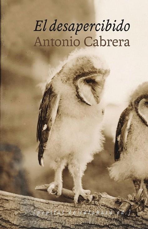 El desapercibido | 9788415862611 | Cabrera Serrano, Antonio | Librería Castillón - Comprar libros online Aragón, Barbastro