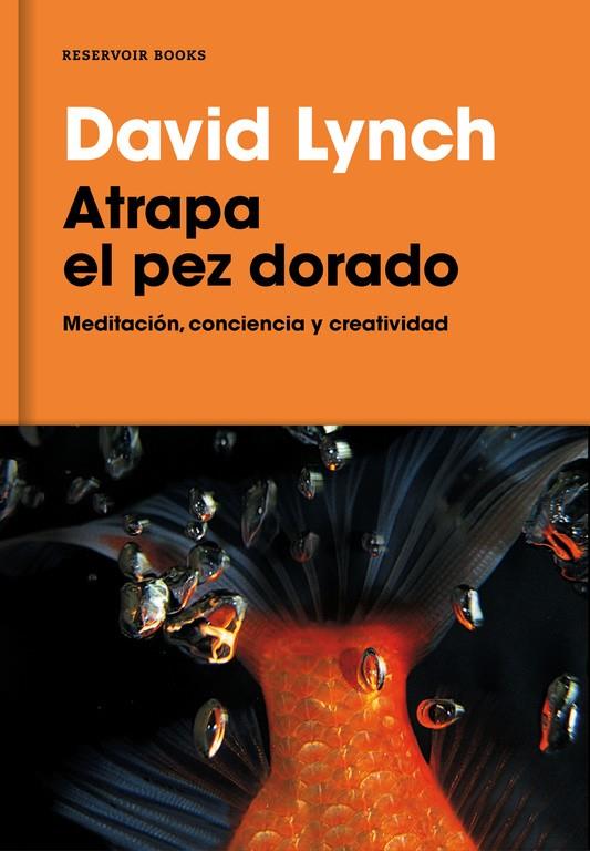 Atrapa el pez dorado | 9788416709014 | Lynch, David | Librería Castillón - Comprar libros online Aragón, Barbastro