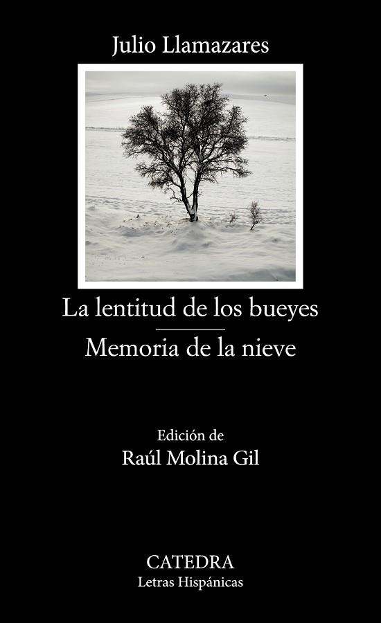 La lentitud de los bueyes; Memoria de la nieve | 9788437647791 | Llamazares, Julio | Librería Castillón - Comprar libros online Aragón, Barbastro