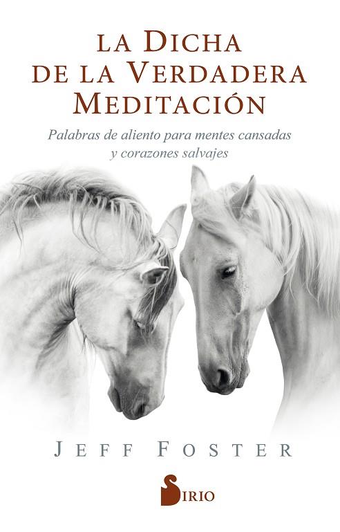 DICHA DE LA VERDADERA MEDITACIÓN, LA /PALABRAS DE ALIENTO PARA MENTES CANSADAS Y CORAZONES SALVAJES | 9788418000522 | Foster, Jeff | Librería Castillón - Comprar libros online Aragón, Barbastro