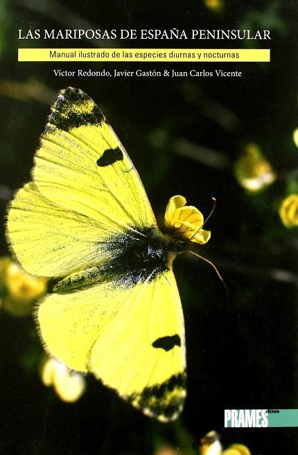 MARIPOSAS DE ESPAÑA PENINSULAR, LAS | 9788483213186 | REDONDO, VICTOR; GASTÓN, JAVIER; VICENTE, JUAN CARLOS | Librería Castillón - Comprar libros online Aragón, Barbastro